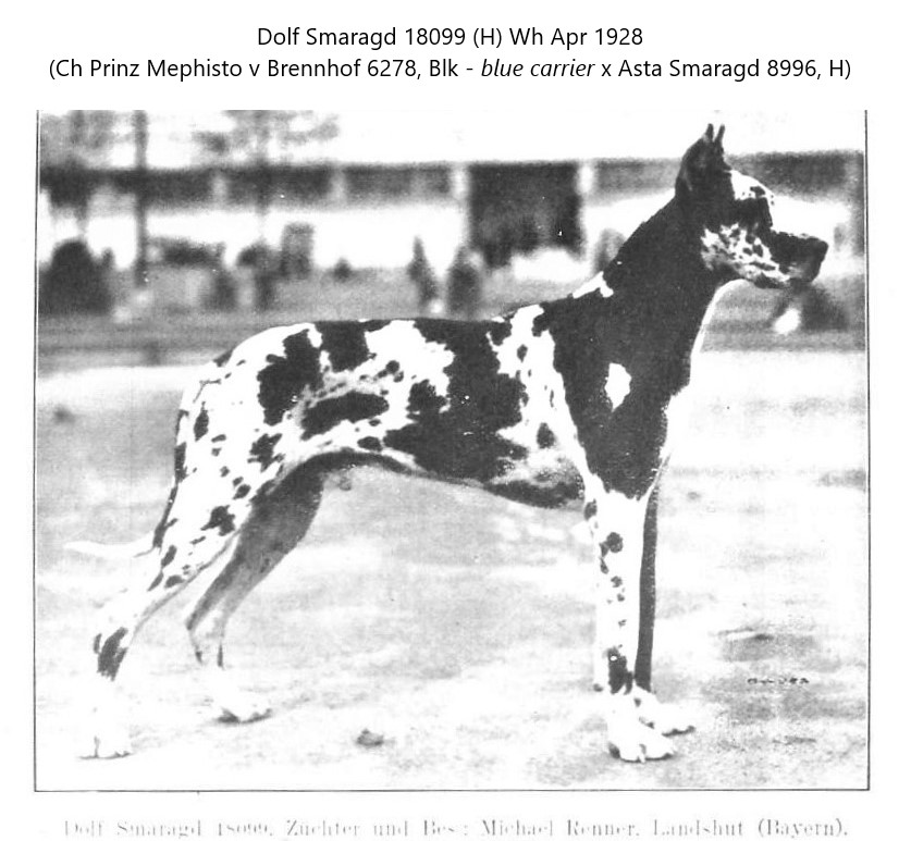 Dolf Smaragd